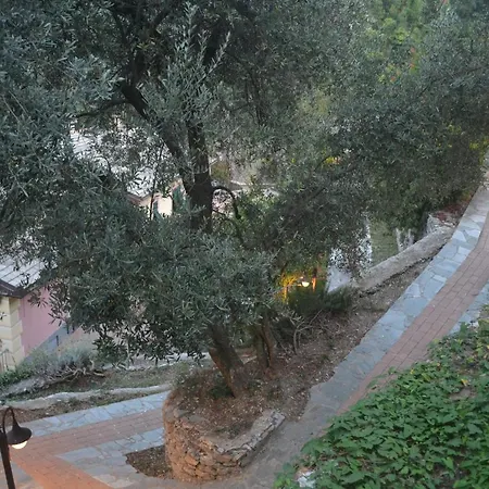 Olivari - Il Cedro Apartment Camogli