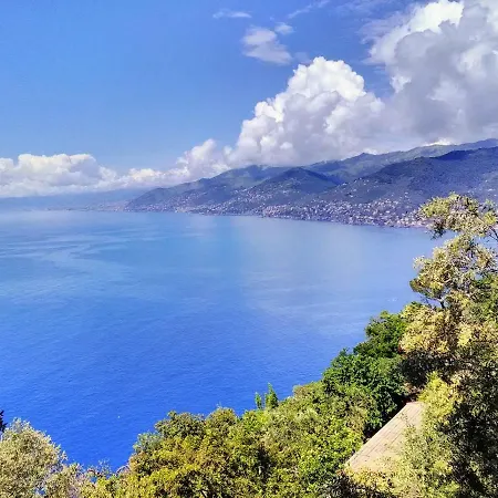 Olivari - Il Cedro Camogli