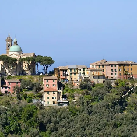 Apartment Olivari - Il Cedro