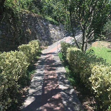 Olivari - Il Cedro * Camogli