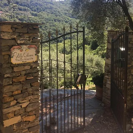 Apartment Olivari - Il Cedro *
