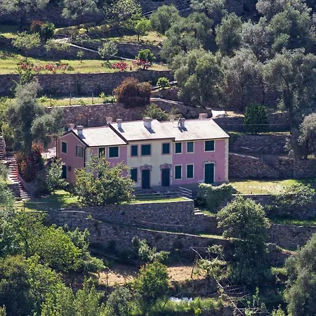 Olivari - Apt Il Cedro Camogli
